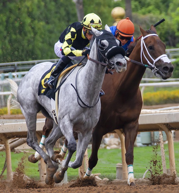 涯来说是一 涯来说是一